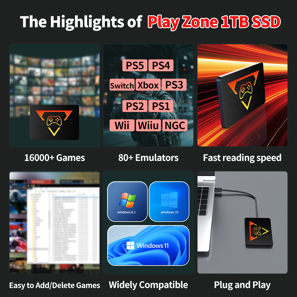 1TB Retro Gaming SSD Video Gam - Retro Gaming Emulator Pc recensione e prezzo